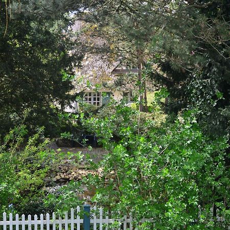 Ferienhof Tom Diek Jork Exteriör bild